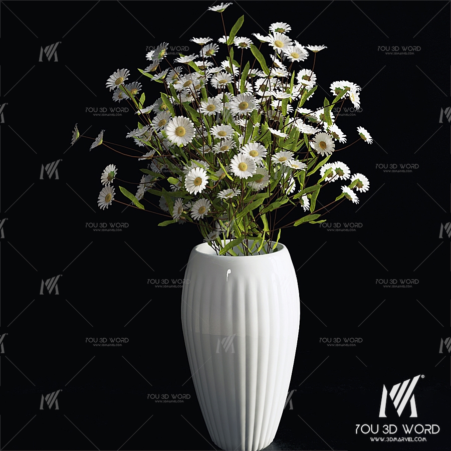 Daisies